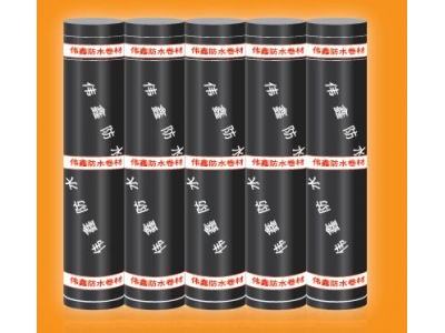 彈性體/塑性體改性瀝